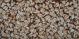 Powergrain Pullman - image 6